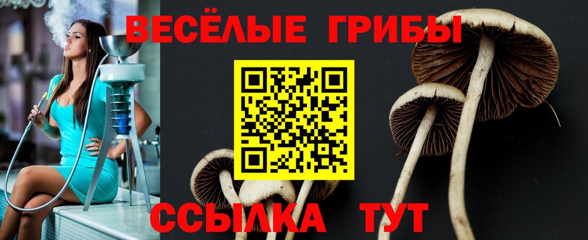 Галлюциногенные грибы MAGIC MUSHROOMS Аргун